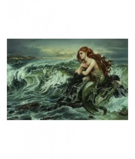 Ariel ''Drawn to the Shore'' by Heather Edwards Hand-Signed & Numbered Canvas Artwork – Limited Edition $160.00 COLLECTIBLES